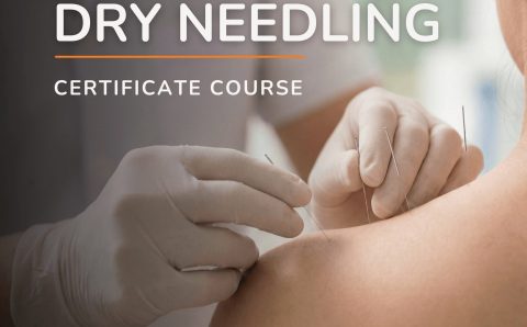LEVEL 1 DRY NEEDLING COURSE