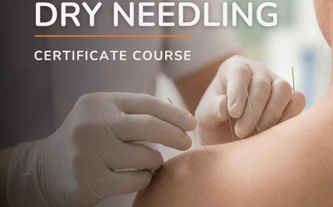 LEVEL 2 DRY NEEDLING COURSE